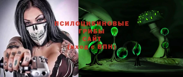 прущие грибы Кинешма