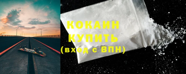 прущие грибы Кинешма