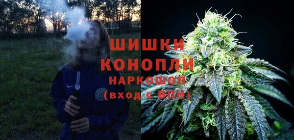 шишки Карпинск