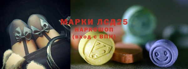прущие грибы Кинешма