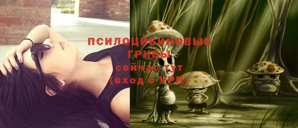 прущие грибы Кинешма