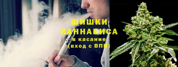соль ск Козельск