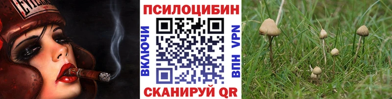 купить наркоту  Кинешма  Псилоцибиновые грибы ЛСД 